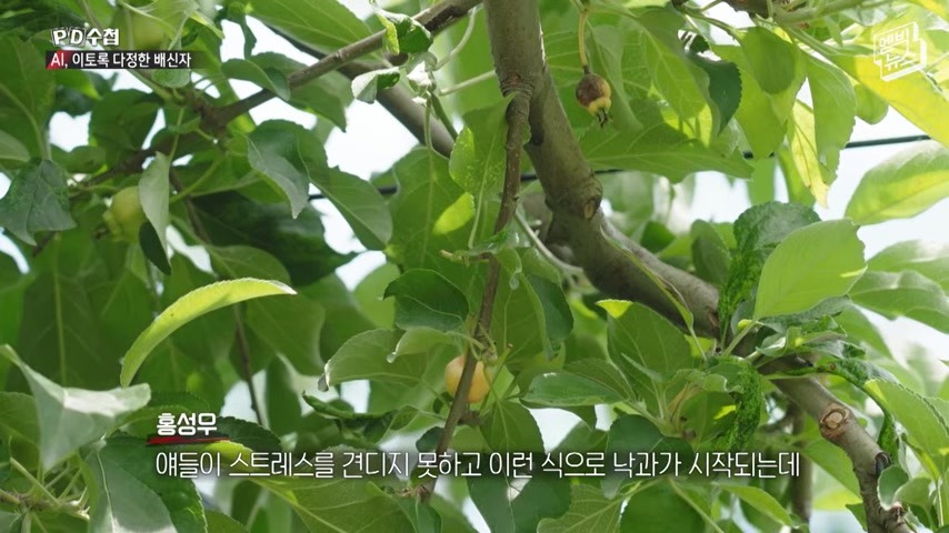 농사 문제를 AI에게 묻는 사례가 소개되는 장면