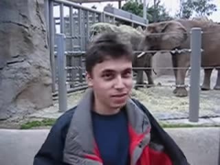 〈Me at the zoo〉 실제 영상 00:05 지점 프레임